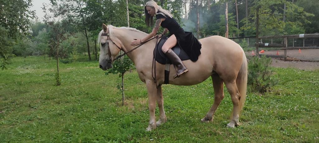 Ассоль. Наша красавица, звезда фотосессий. Лошадь большая и мега спокойная. Идеальна для прогулок, мягкая и неторопливая. Очень ласковая девочка. Подходит для крупных всадников.